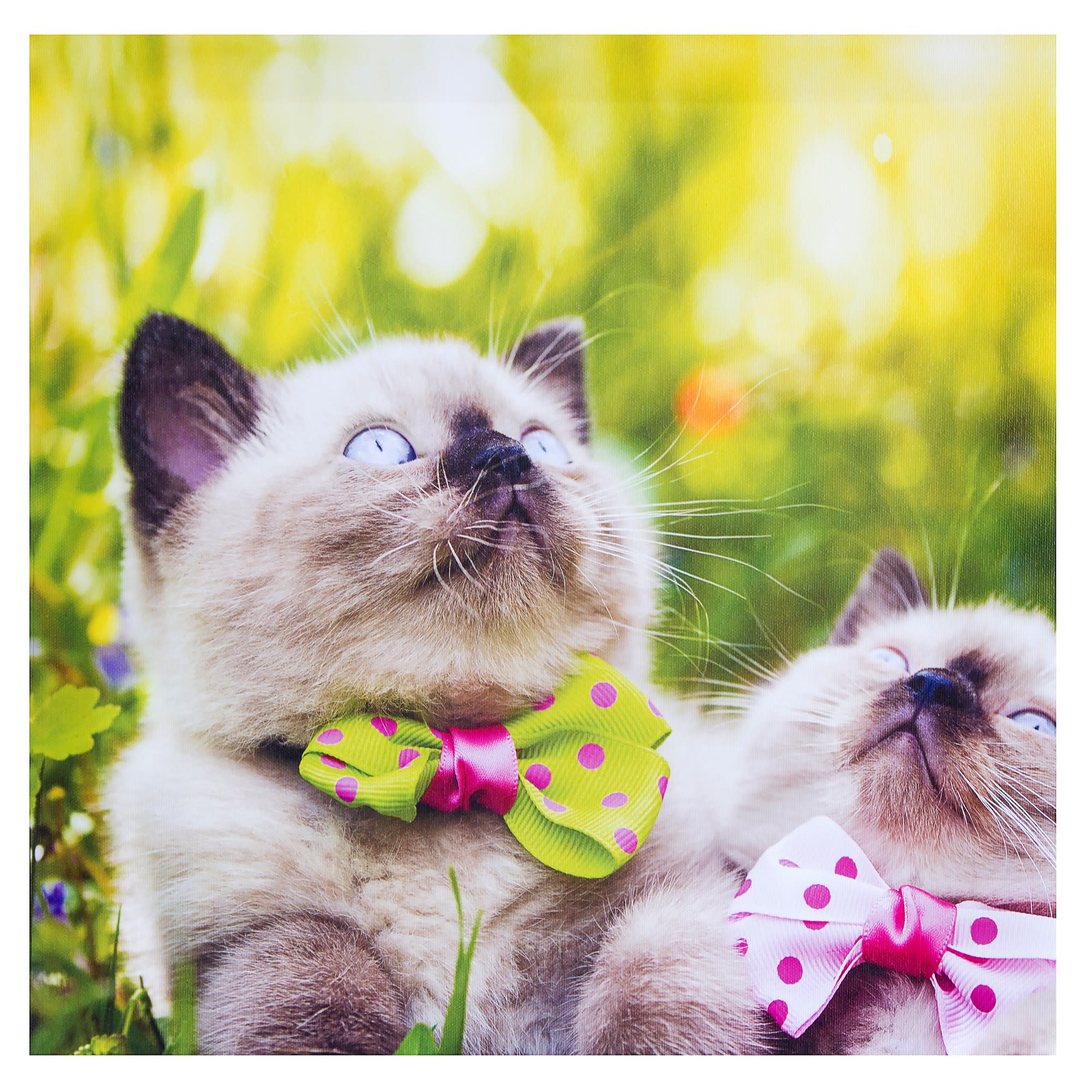 17981685 Картина на холсте «Два котёнка в бабочках» 40х40 см Santreyd 