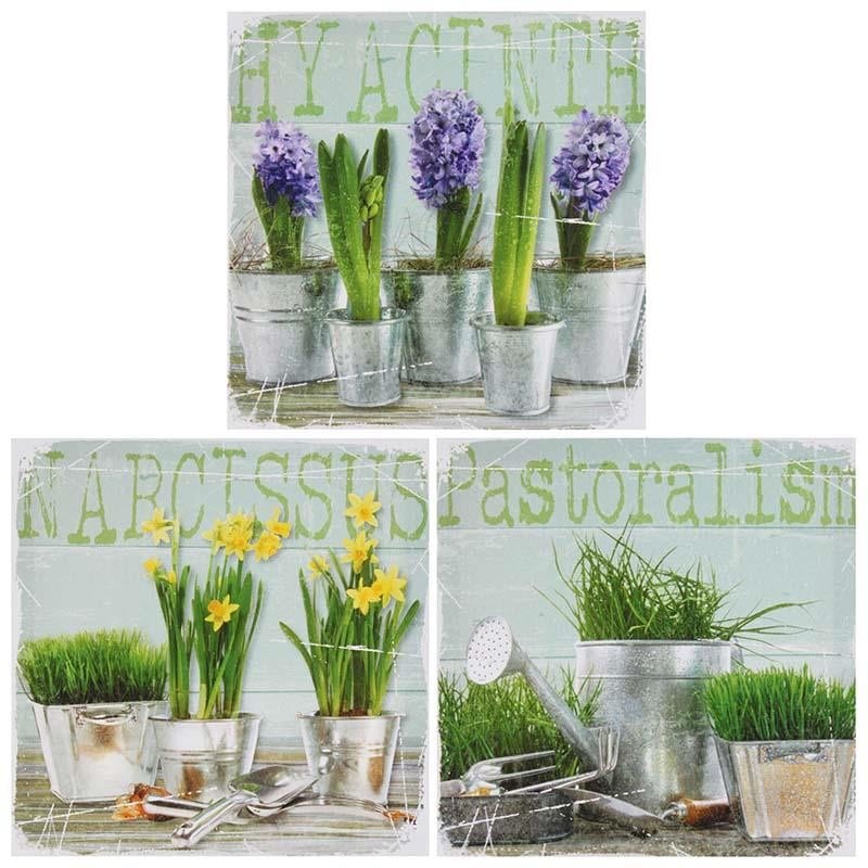 3890709.0152_3 ПРИНТ НА ПОДРАМНИКЕ, КОМПЛЕКТ ИЗ 3 ШТ TO4ROOMS 