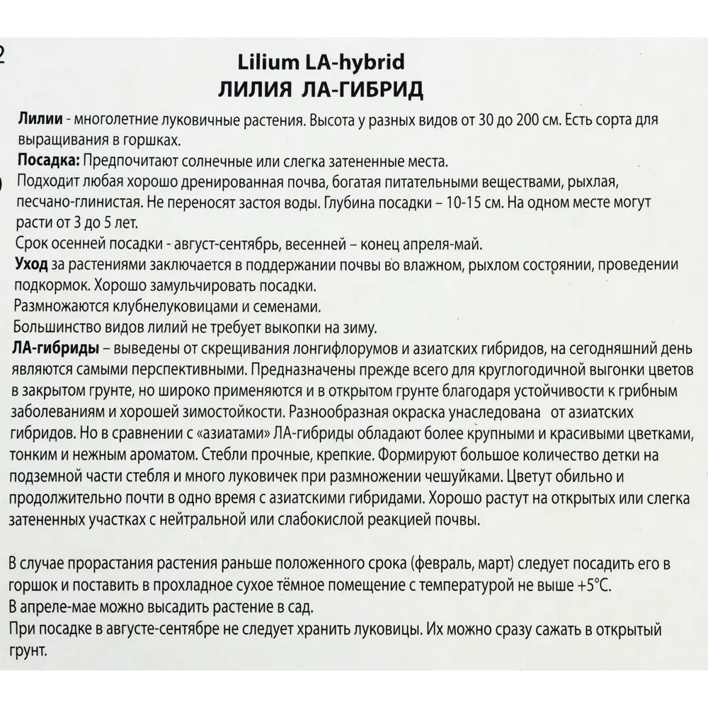 Лилии ЛА-гибриды «Менорка», размер луковицы 14/16, 1 шт. 82118715 STLM-2023124 Santreyd  - Вид №2