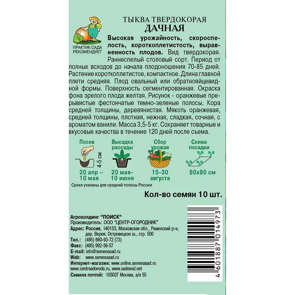Семена Тыква твердокорая «Дачная» 83124477 STLM-2137330 ПОИСК  - Вид №1