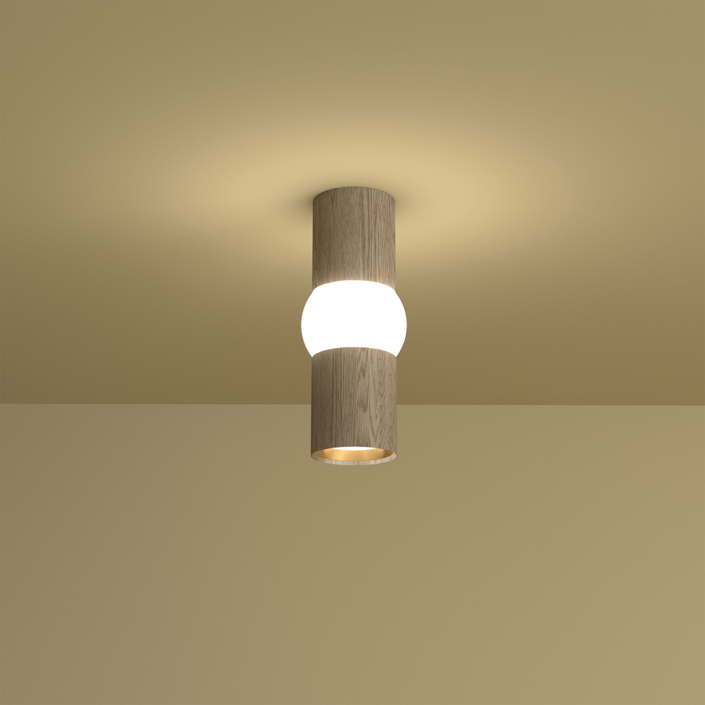 Дуб Dimmable светодиодный потолочный светильник OBLURE Lightbone ARCH-00035260 - Вид №1