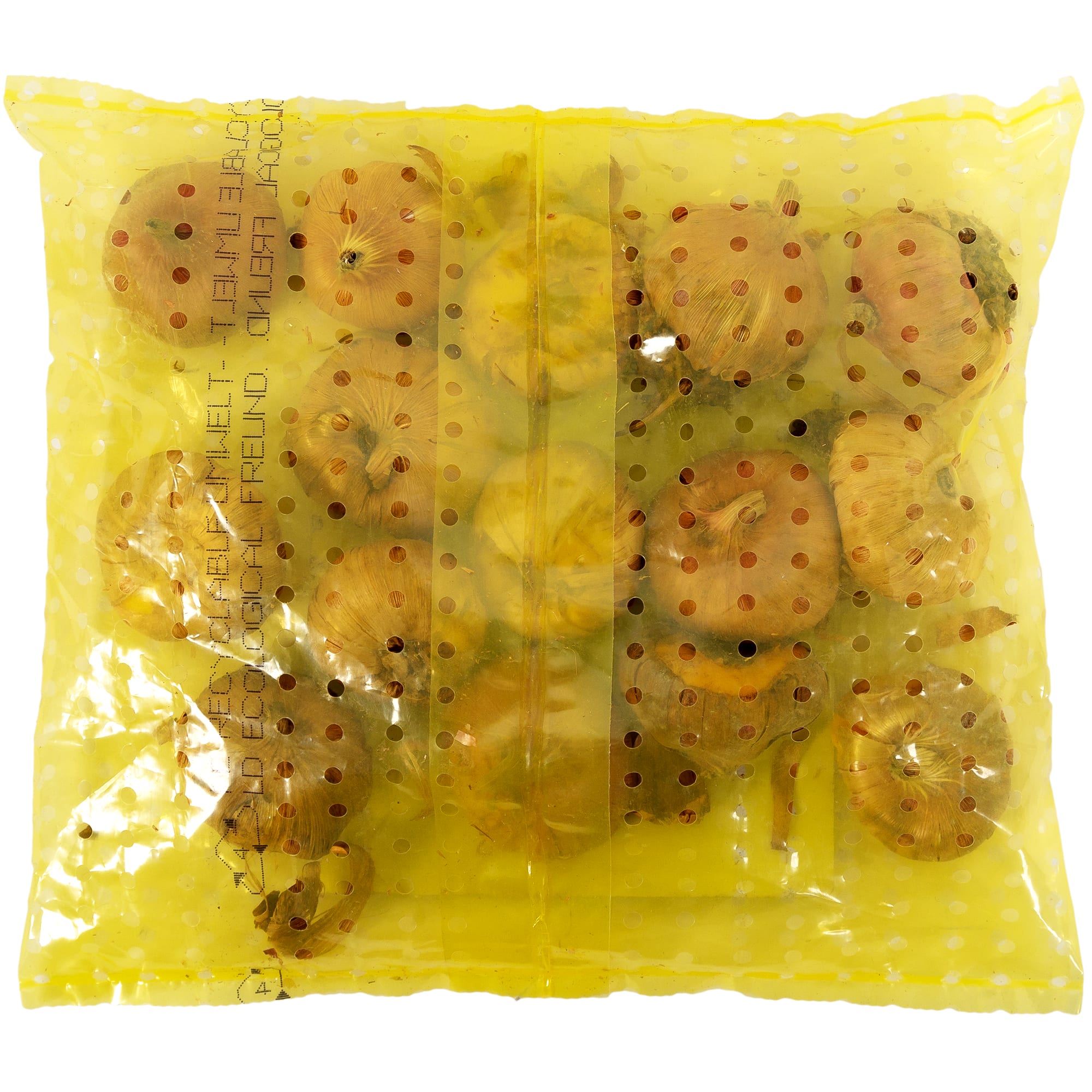 17511309 Гладиолус бразильский микс Santreyd  - Вид №1