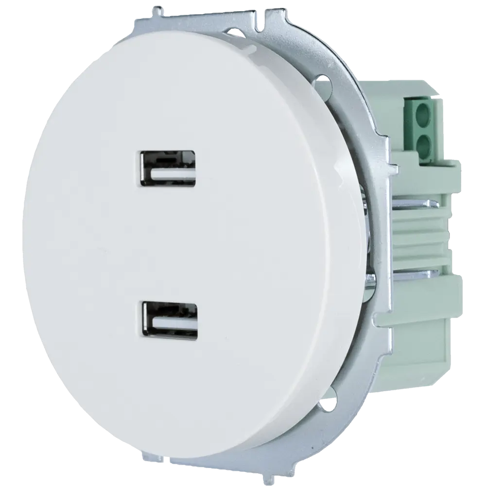 Розетка двойная USB встраиваемая Osen цвет белый LEZARD STLM-2212109 - Вид №1