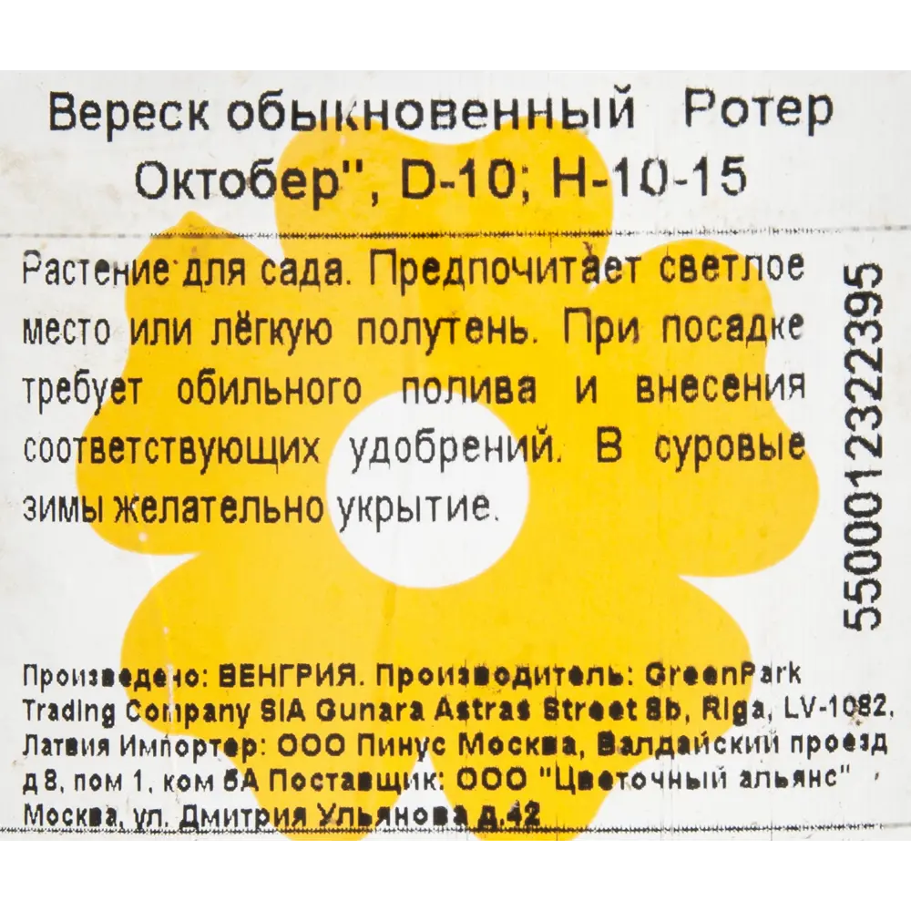 Вереск обыкновенный «Ротер Октобер», 10х10-15 см 18382617 STLM-2178773 Santreyd  - Вид №2