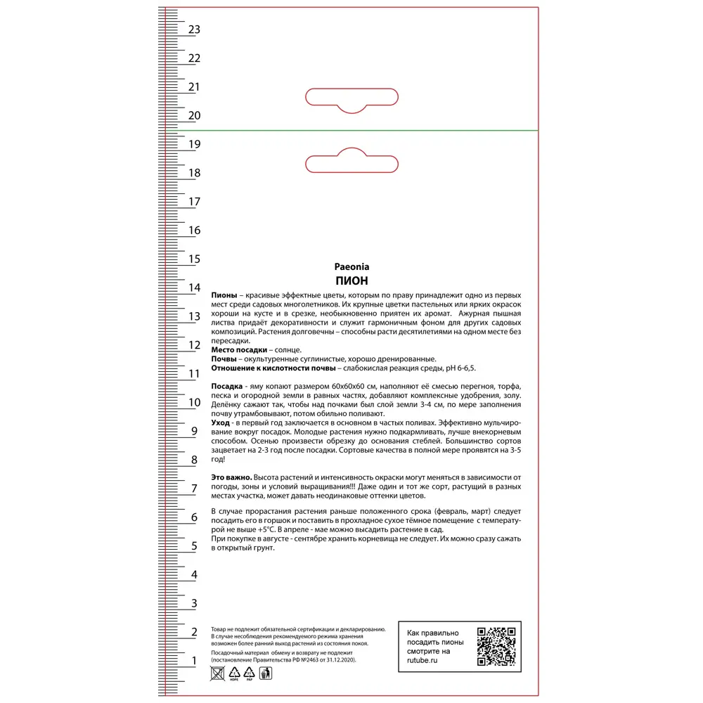 Пион гибридный Кингс Дэй 89452232 STLM-2130619 ПОИСК  - Вид №1