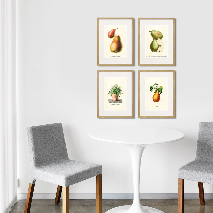 Литография на тонированной бумаге 42х32 см Botany illustration №18, 1836г. КАРТИНЫ В КВАРТИРУ  264503 Бежевый;белый;желтый;разноцветный  - Вид №2