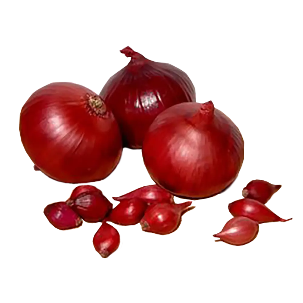 Лук-севок Кармен МС 10/21 0.5кг Santreyd STLM-2025308