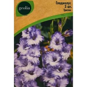 Гладиолус крупноцветковый Тритон Geolia 3 шт 86408554 STLM-2028715