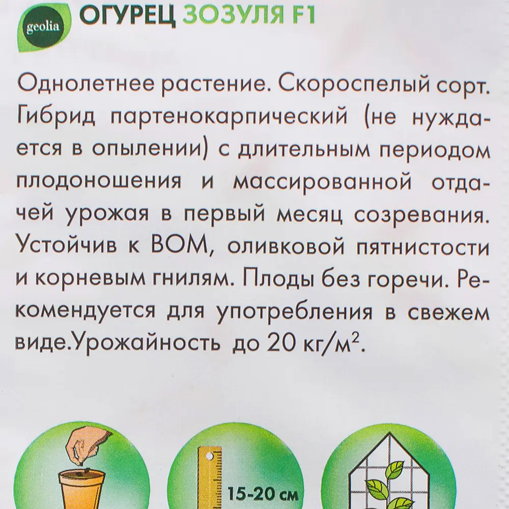 Семена Огурец Geolia «Зозуля» F1 STLM-2051147 - Вид №1