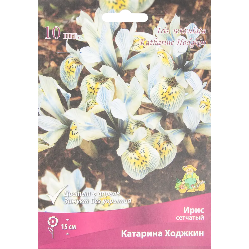 Ирис сетчатый Катарина ходжкин луковица 6/7, 10 шт. 88294653 STLM-2006125 Santreyd 