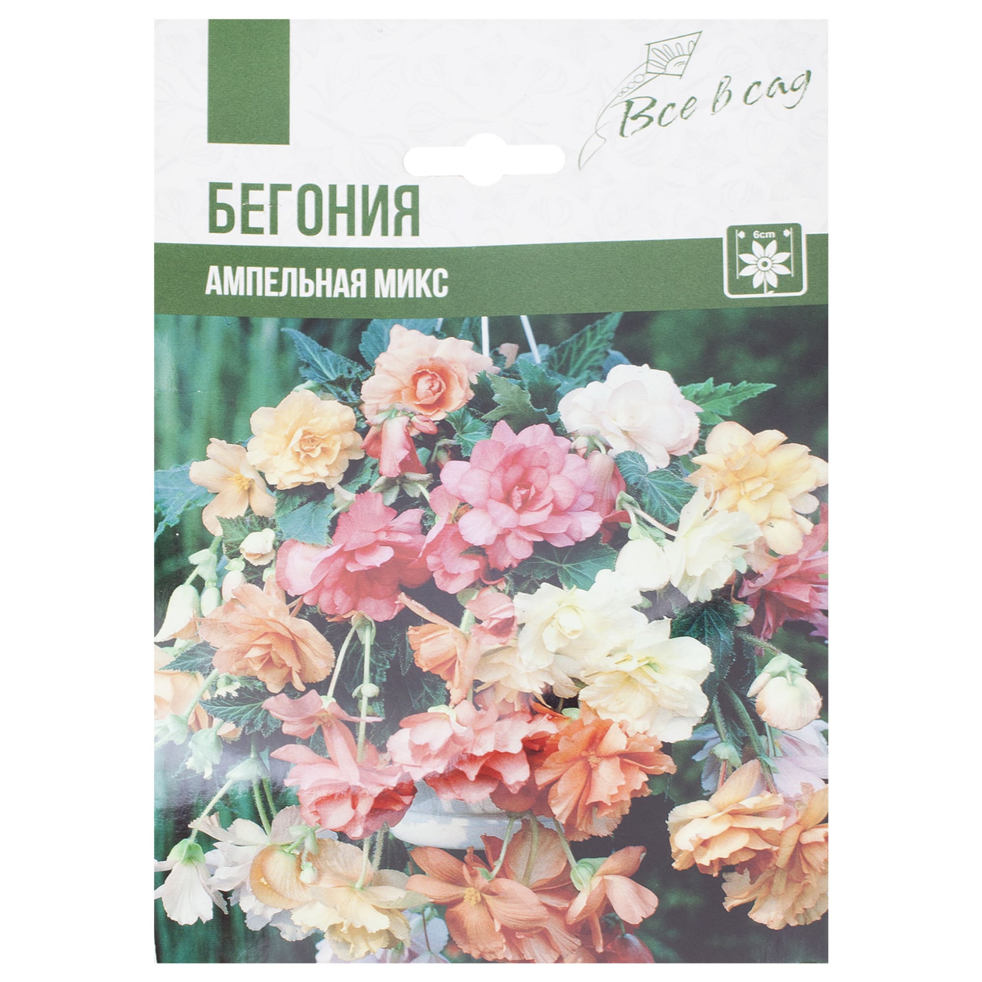 11242697 Бегония Ампельная микс 4/5 Santreyd 