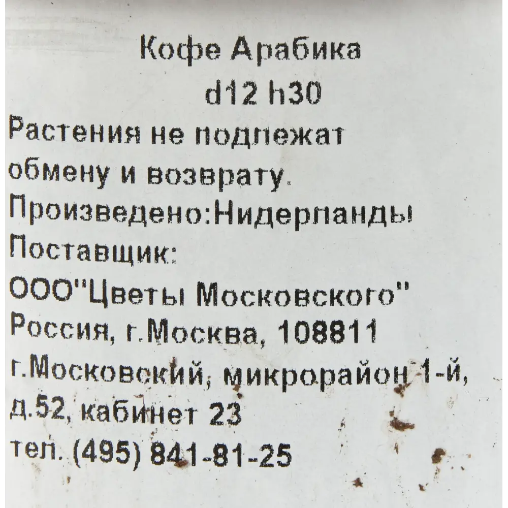 Кофе Арабика 12x30 см Santreyd STLM-2002050 - Вид №2