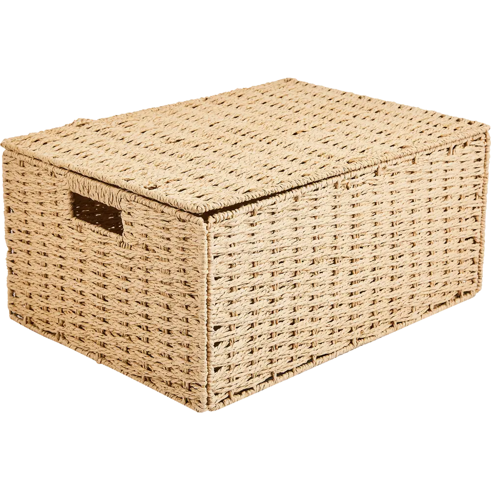 Корзина с крышкой для хранения 45x21x33 см бумага цвет бежевый SPACEO Kub STLM-2198218 - Вид №1