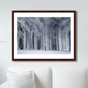 Арт-фотография в деревянной раме 78,5х100 см Elegant Bare Tree in Colorado КАРТИНЫ В КВАРТИРУ  264784 Белый;серый;разноцветный