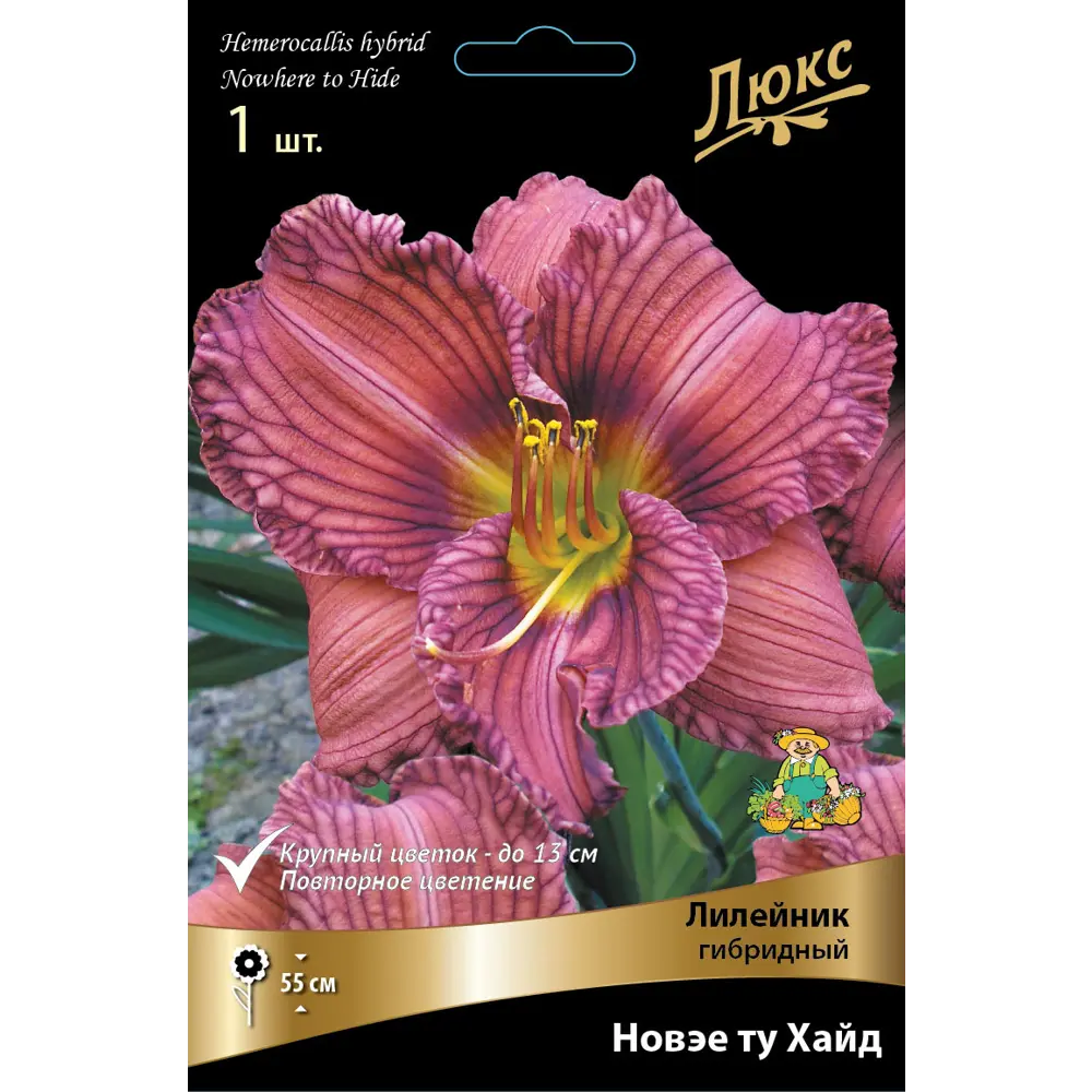Лилейник гибридный «Новэе ту Хайд» 82530541 STLM-2137271 Santreyd 