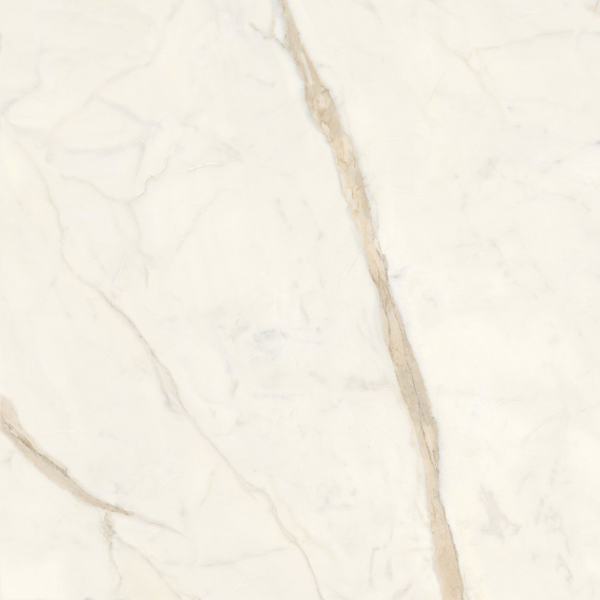 Пол / керамогранит с мраморным эффектом Italgraniti Marble Touch ARCH-00062183 - Вид №24