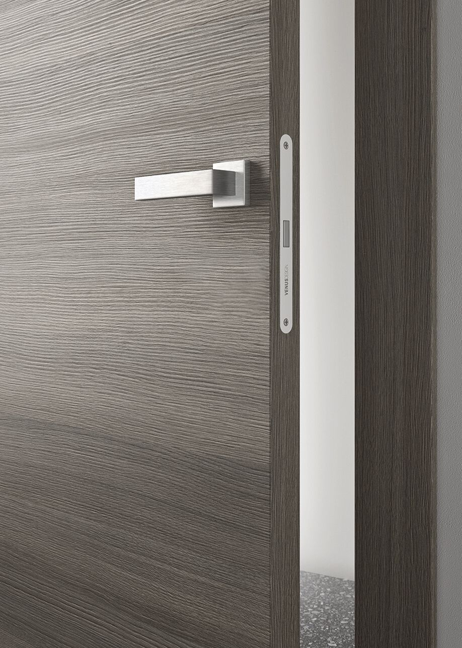 Распашная дверь с выдвижными петлями Venus Design Вера ARCH-00030364 - Вид №4