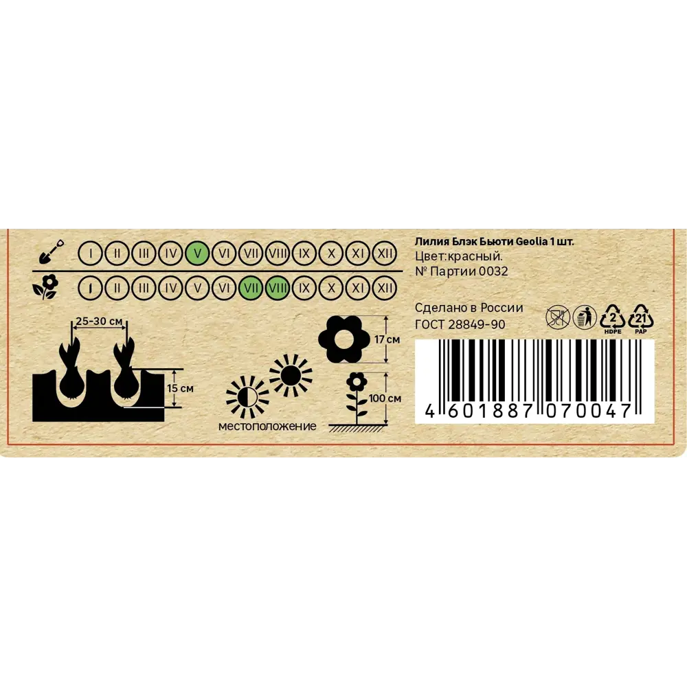 Лилия GEOLIA Блэк Бьюти - малиновое украшение сада 86408621 STLM-1566703 - Вид №4