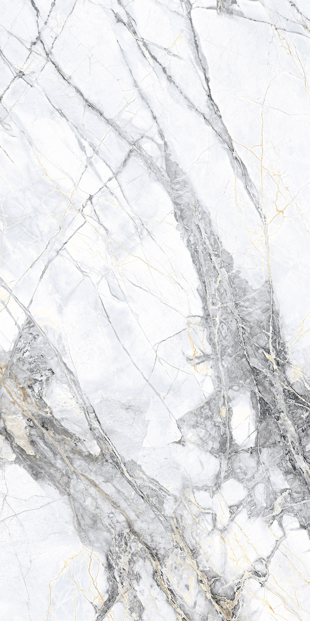 Керамогранит MALTA BIANCO 60х120 Arcadia Ceramica CR4018-A - Вид №5