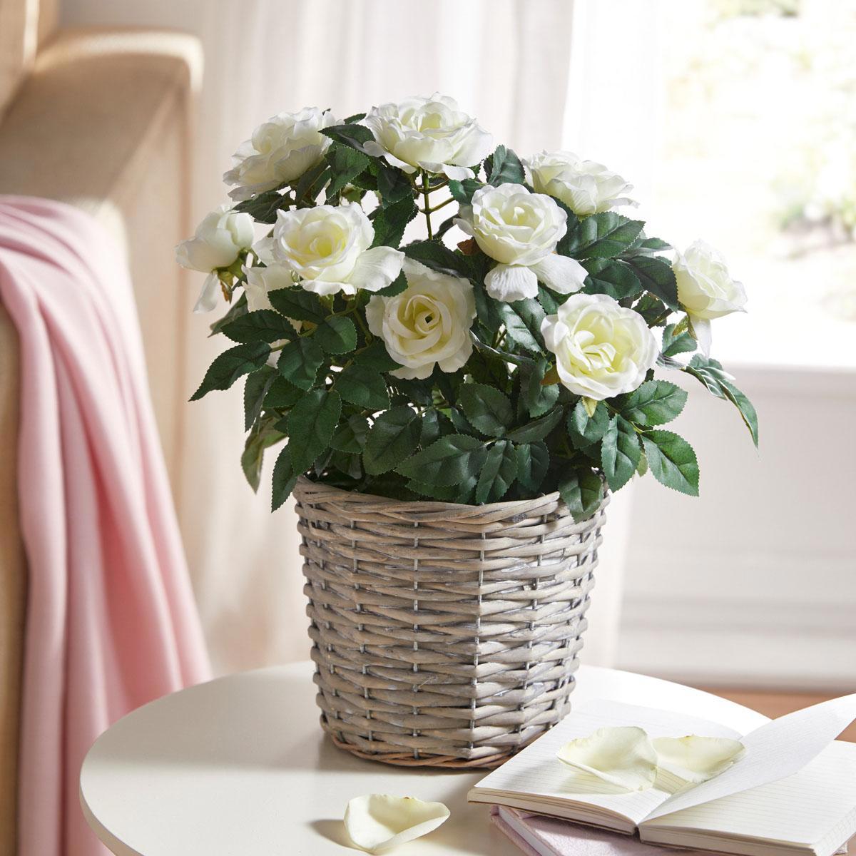 90023838 Декоративное растение Белые розы 08009 STLM-0088588 FRANK