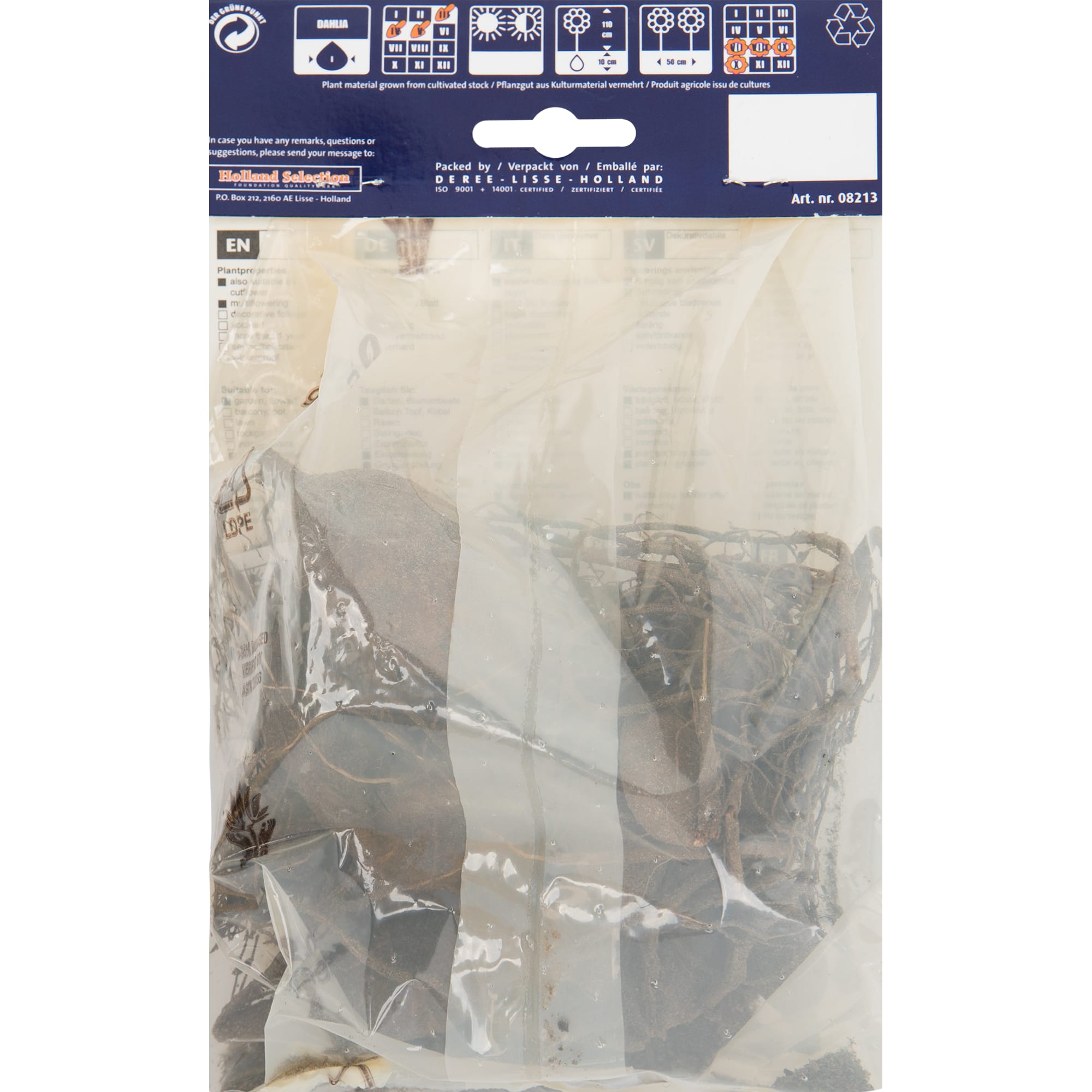 82539301 Георгина декоративная «Нурдвиг Глори» Santreyd  - Вид №1