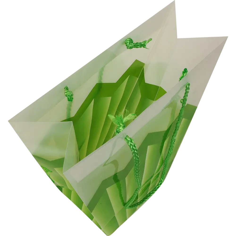 Сумка для цветов, 24x12x26 см GARDEN SHOW STLM-2062513 - Вид №5