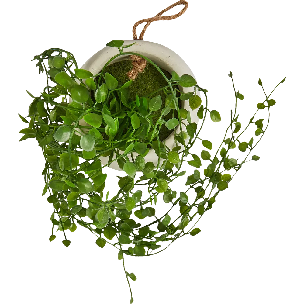 Искусственное растение в цементном горшке Atmosphera 14x12x13 см полиэстер STLM-2164299 - Вид №1