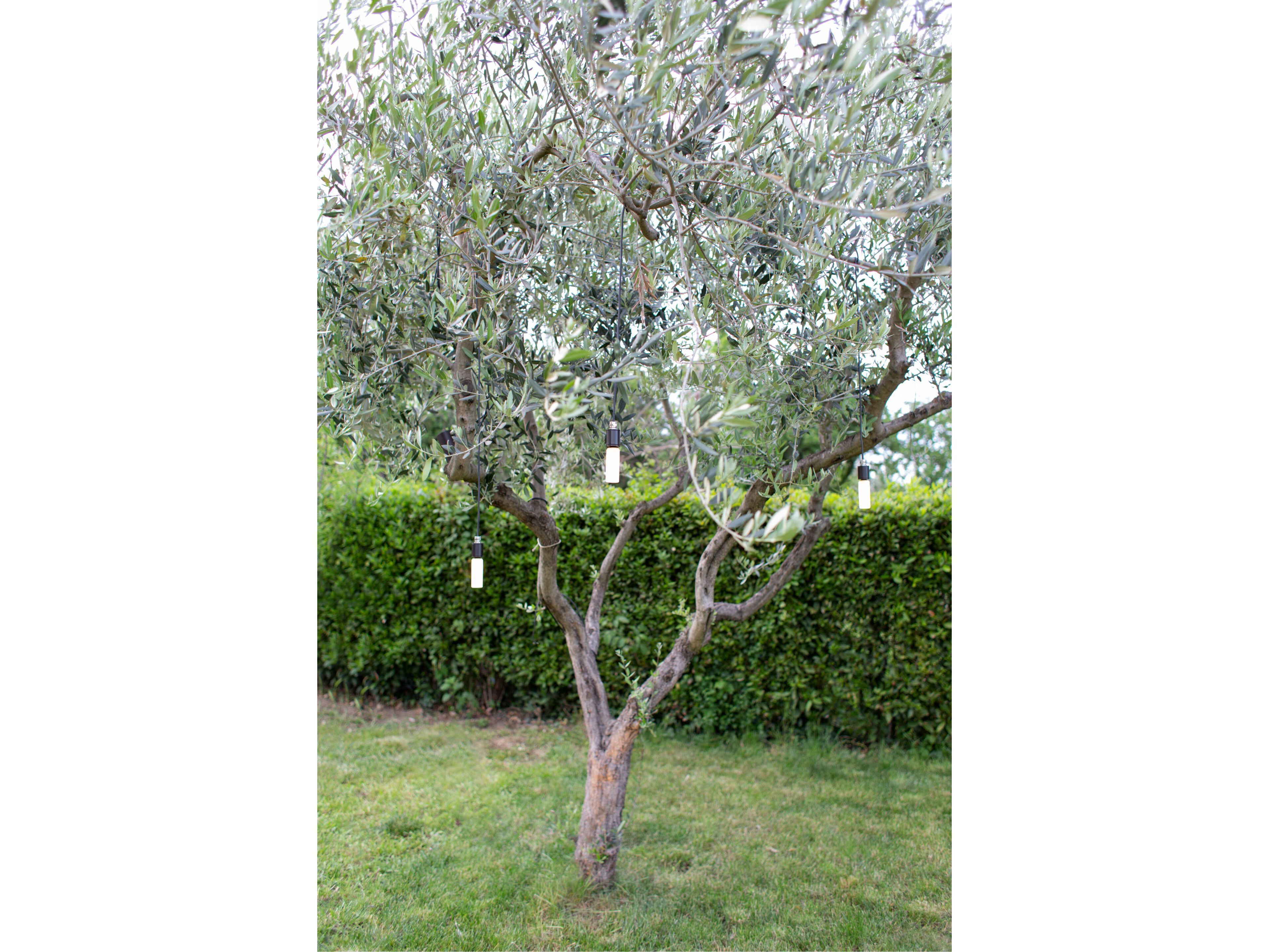 Открытый светодиодный подвесной светильник Renzo Serafini Факел ARCH-00011847 - Вид №1