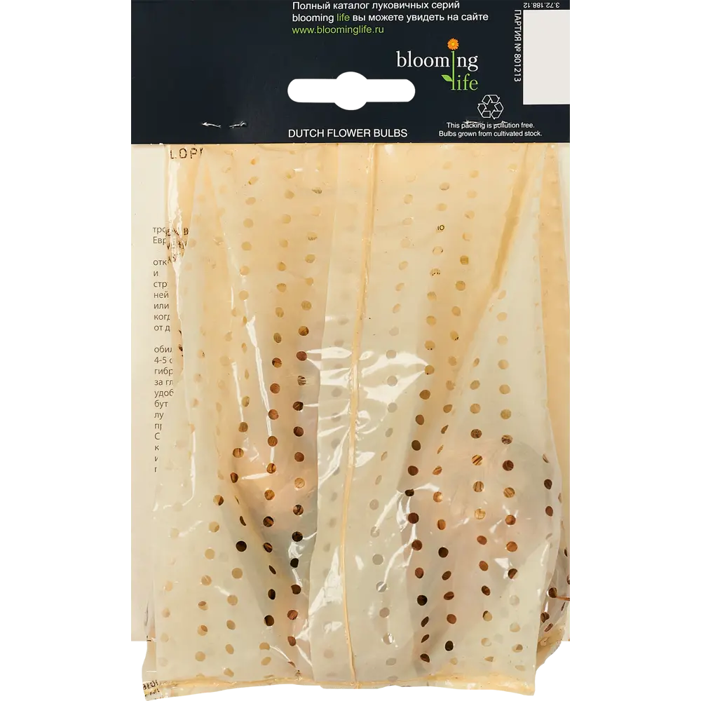 Гладиолус крупноцветковый Десото 7 шт BLOOMING LIFE STLM-2150446 - Вид №1