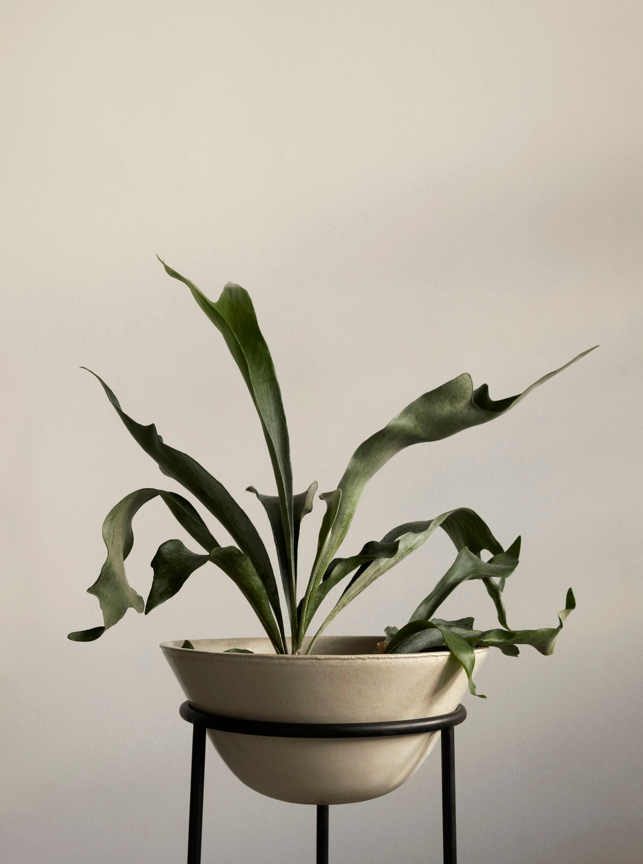 Керамический плантатор Audo Copenhagen DAIZA ARCH-00153087 - Вид №15