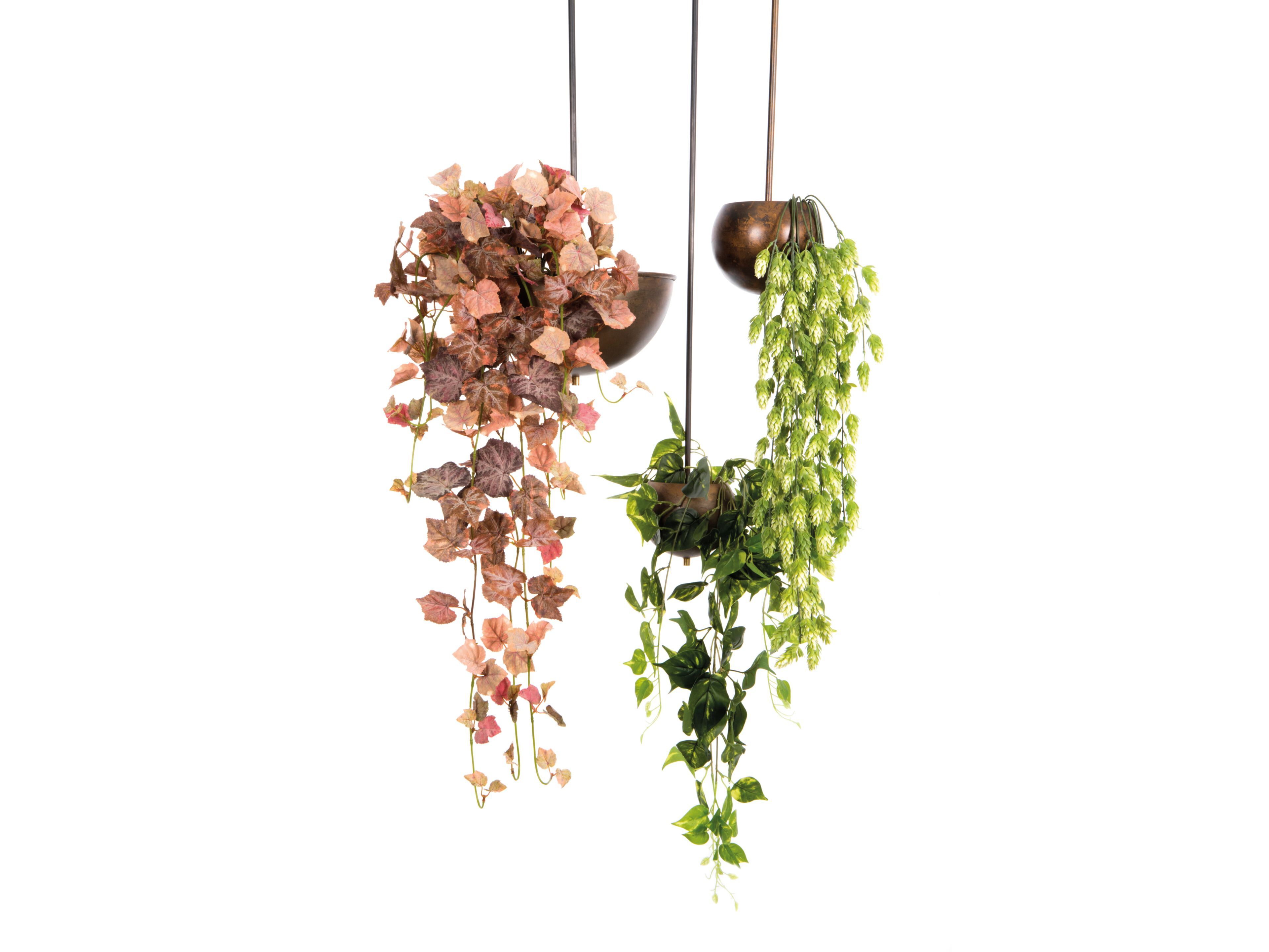 Светодиодный подвесной светильник Renzo Serafini VERDE LUCE ARCH-00042935 - Вид №4