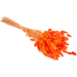 Букет из сухих цветов Лагурус микс 1 70 см