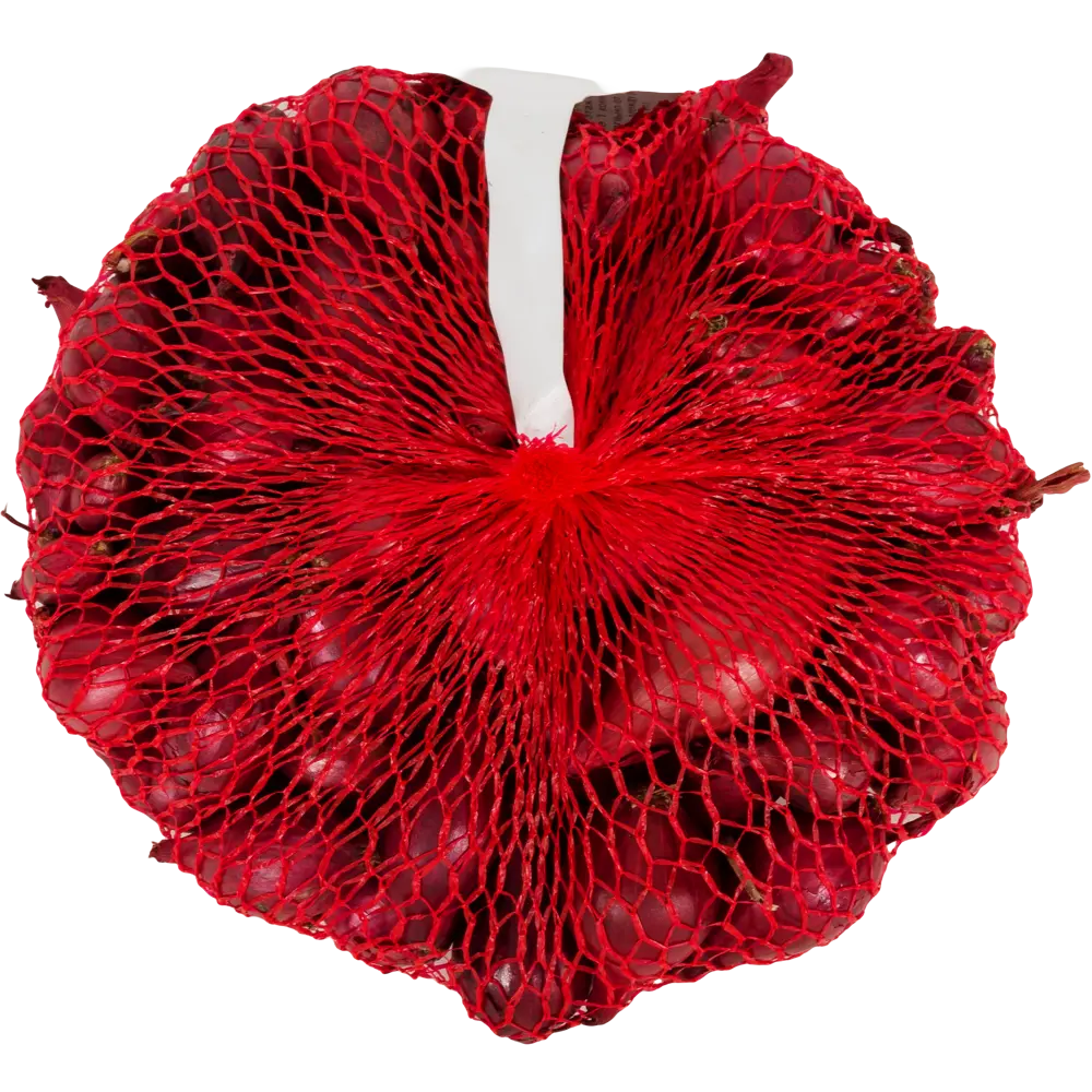 Лук-севок Ред Барон 14/21 мм 0.45 кг Престиж семена Santreyd STLM-2050348 - Вид №1