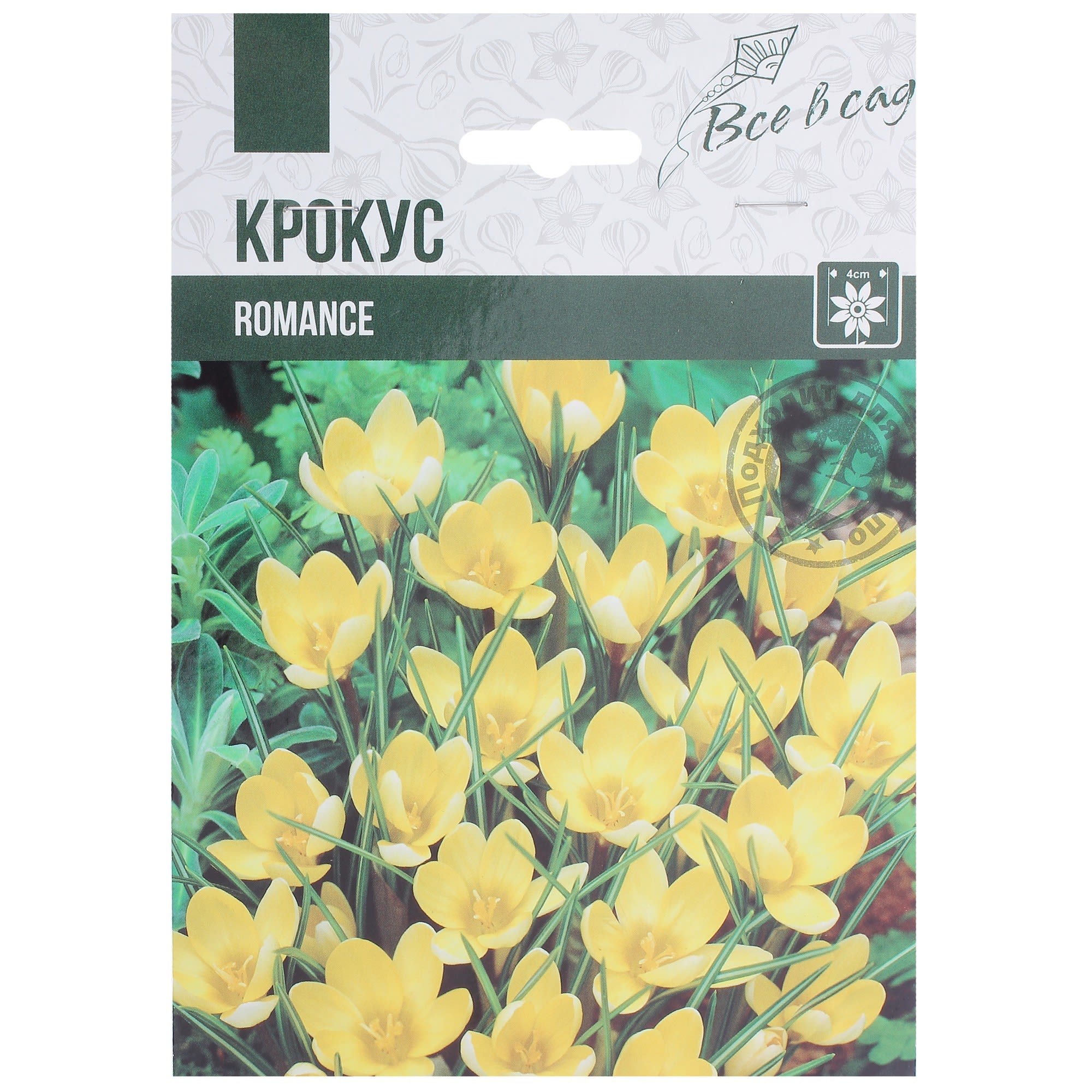 82004066 Крокус ботанический «Романс» 10 шт Santreyd 