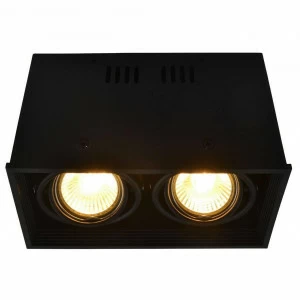 Потолочный светильник Arte Lamp Cardani A5942PL-2BK ARTE LAMP CARDANI BLACK 082904 Черный