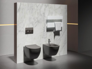 Керамические подвесные сантехники