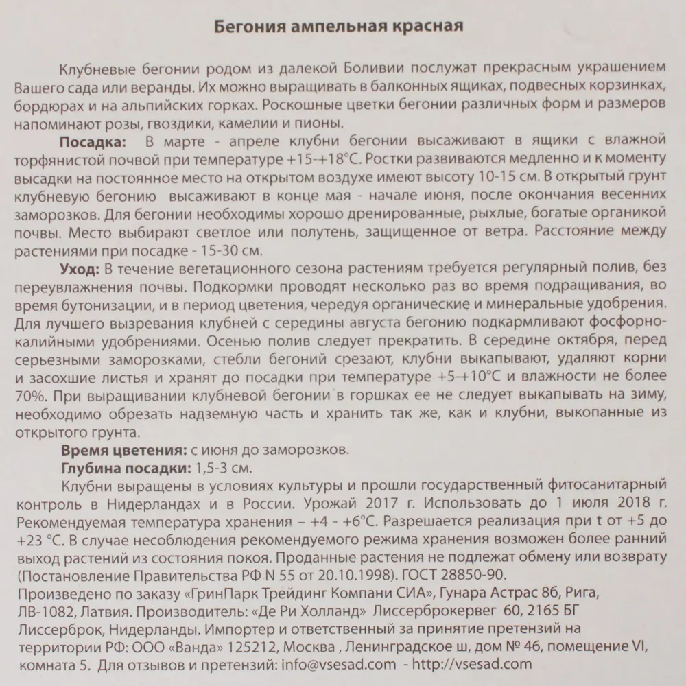 Бегония ампельная, цвет красный ВСЕ В САД STLM-2171607 - Вид №2