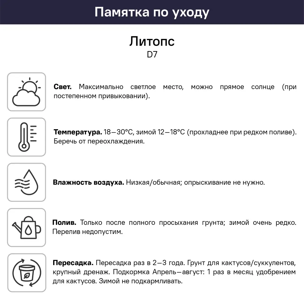 Литопс ø7 h2 см 89447706 STLM-2057959 Santreyd  - Вид №1