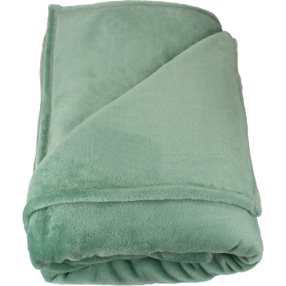 Плед Flamingo 200x220 см микрофибра цвет зелёный INSPIRE STLM-2113403 - Вид №2