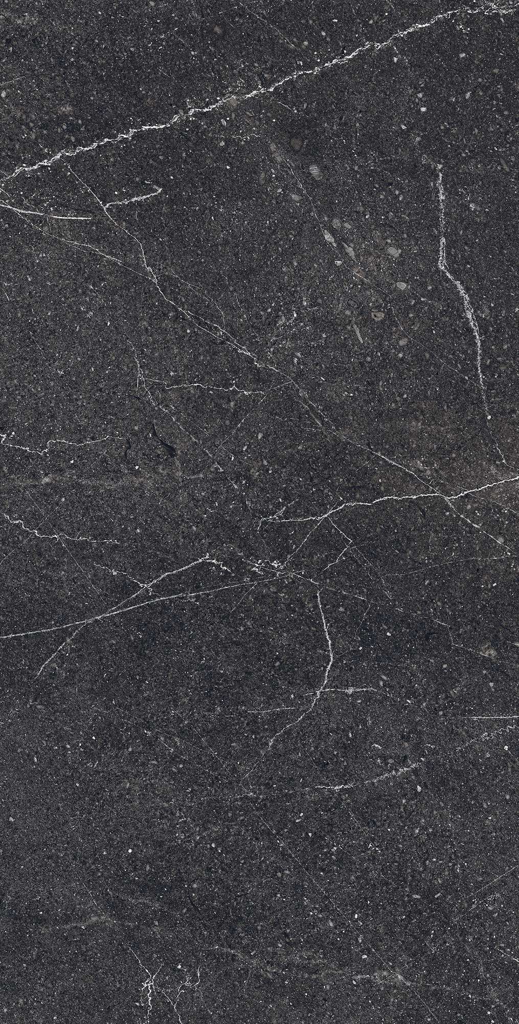 Керамогранит EQUISTONE CHARCOL 60х120 Arcadia Ceramica RG6003-A - Вид №2