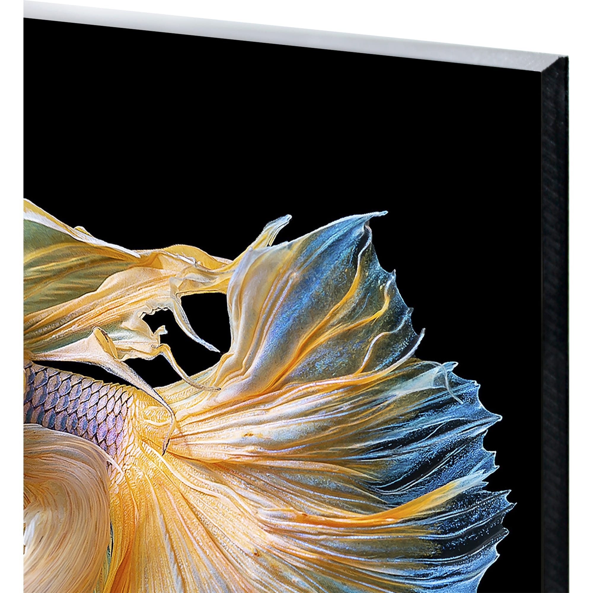 82523504 Картина на стекле «Рыба золотая» 40х40 см Santreyd  - Вид №1