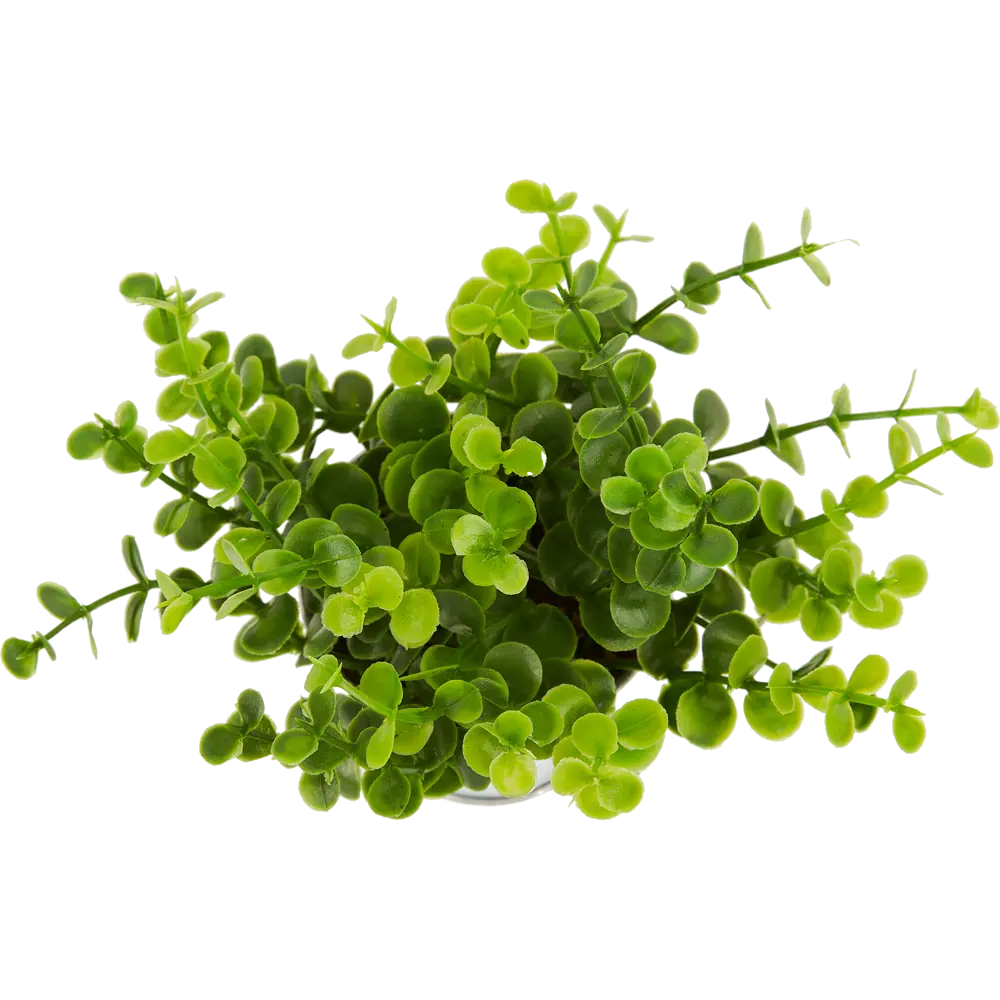 Искусственное растение в металлическом горшке 114754 ø16 h15 см Santreyd STLM-2173474 - Вид №7