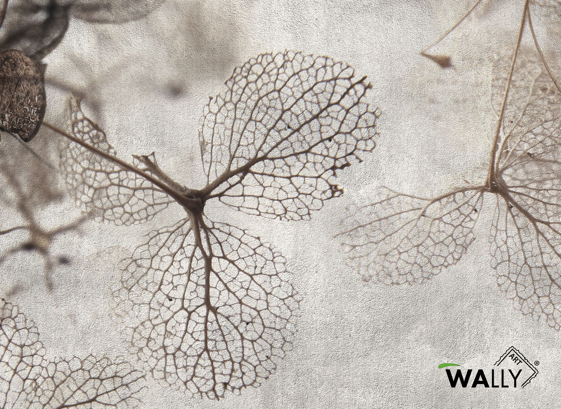 Моющиеся нетканые обои WALLYART Lacollection ARCH-00049225 - Вид №1