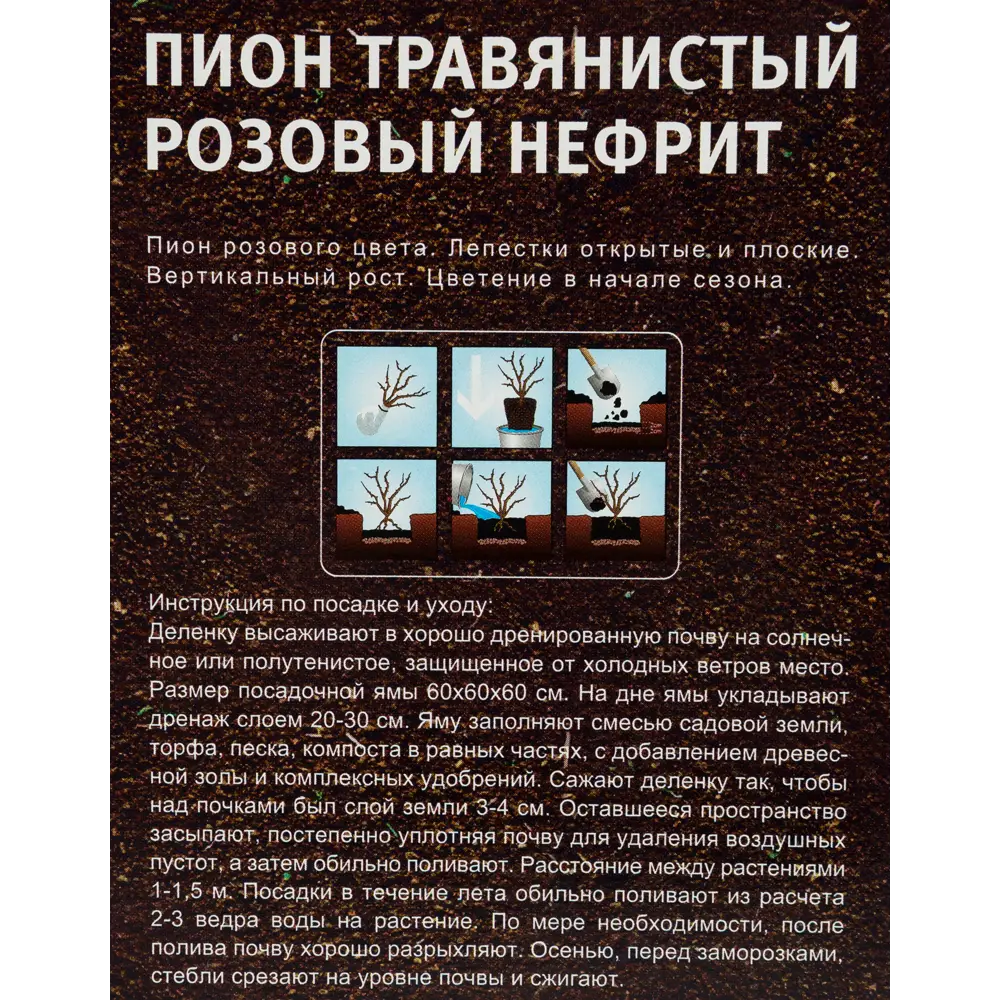 Пион травянистый Розовый нефрит, Красный 15612907 STLM-2048124 Santreyd  - Вид №3