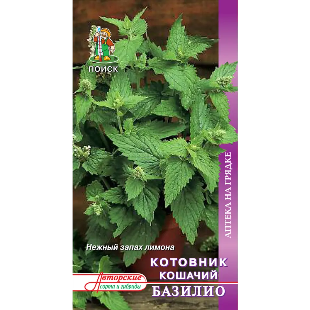 Семена Котовник кошачий «Базилио» (А), 1 г 82102317 STLM-2130809 ПОИСК 