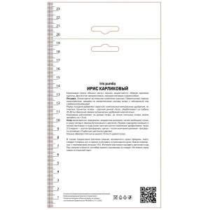 Ирис карликовый Риц