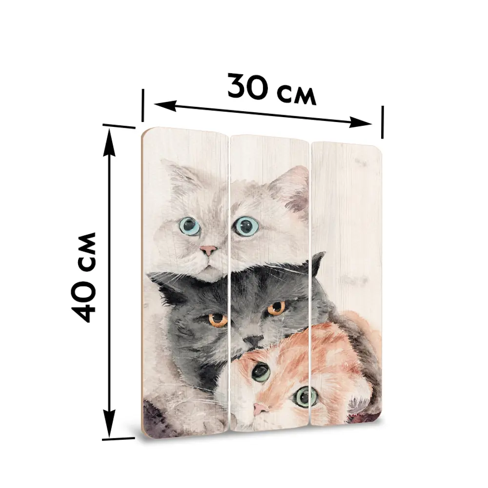 Картина на МДФ Котята 30x40 см POSTERMARKET STLM-2013117 - Вид №6
