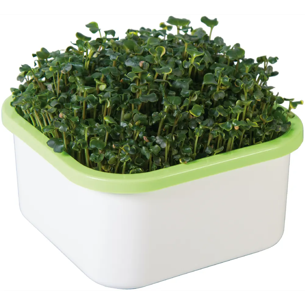 Проращиватель Здоровья клад «Универсальный» Santreyd STLM-2145905 - Вид №5