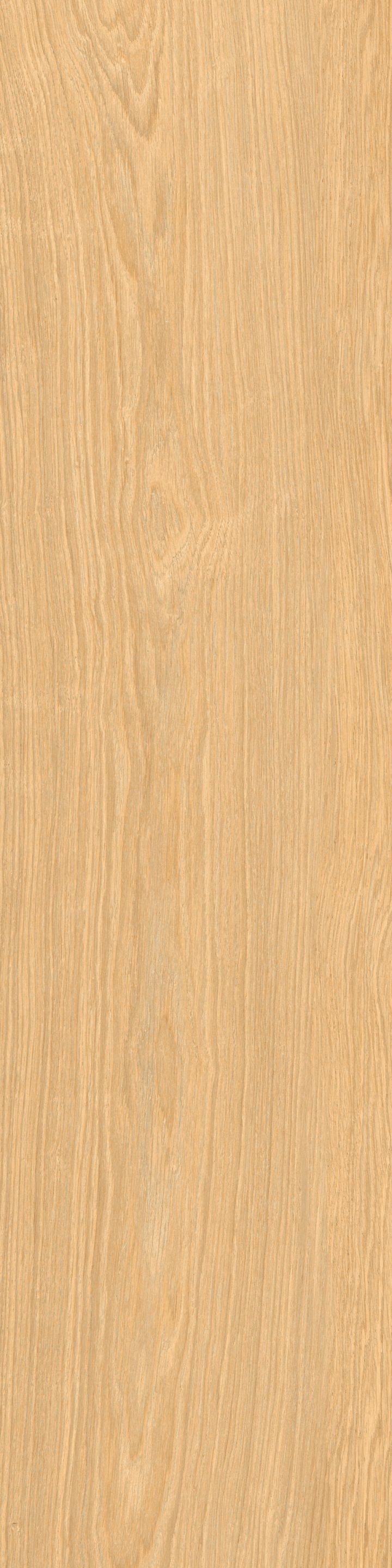 Пол из глазурованной керамогранита под дерево Ceramica Rondine DREAM ARCH-00032803 - Вид №18