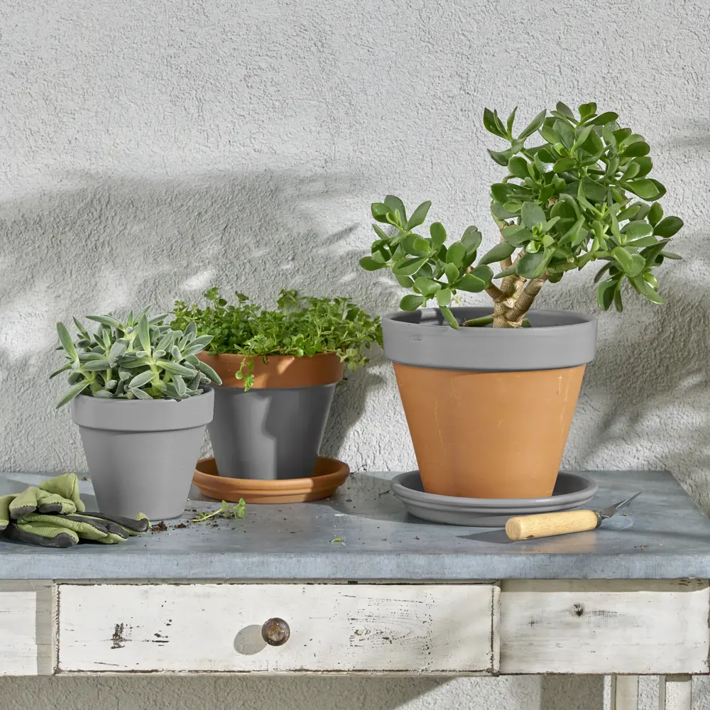 Аэрозольная эмаль Luxens матовая темно-серый для интерьера и улицы 83237373 STLM-0039731 - Вид №5